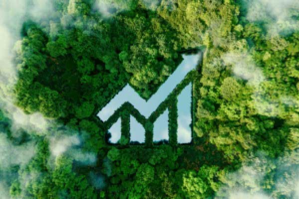 花旗：台积电到2027年收入增长或超过40%，目标价上调至台币4000元